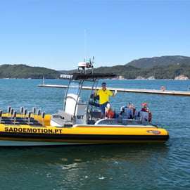 Setúbal et Tróia : Observation des dauphins et baies d'Arrábida