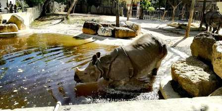 Jardin zoologique