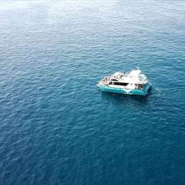 Setúbal : Observation des dauphins