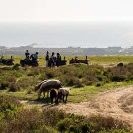 Depuis Lisbonne : Visite guidée en quad de la Costa da Caparica