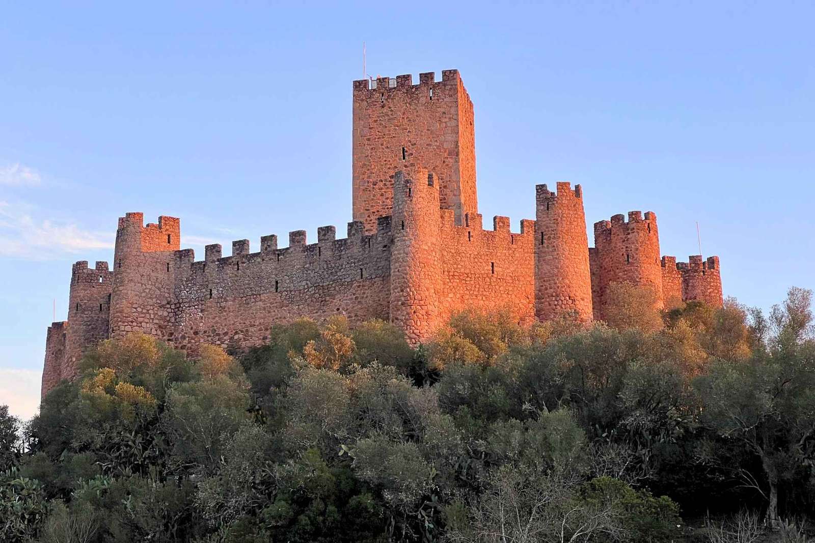 Depuis Lisbonne : Route des Templiers - Almourol, Tomar et le couvent du Christ