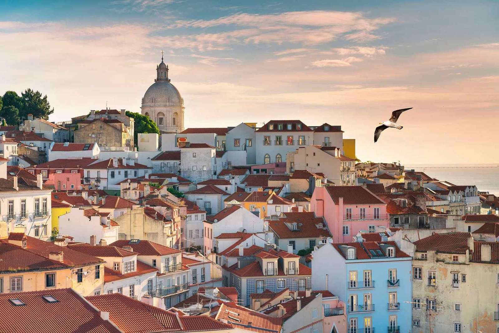 Lisbonne : visite guidée privée en tuk-tuk avec prise en charge à l'hôtel