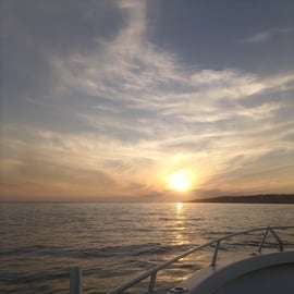 Cascais : Excursion en bateau au coucher du soleil avec boissons de bienvenue