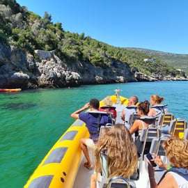 Setúbal et Tróia : Observation des dauphins et baies d'Arrábida