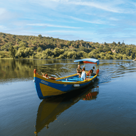 Depuis Lisbonne : Visite des Templiers à Tomar