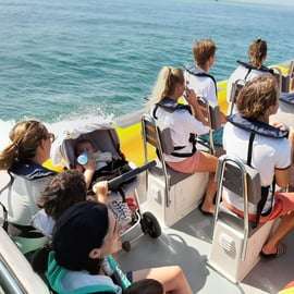 Setúbal et Tróia : Observation des dauphins et baies d'Arrábida