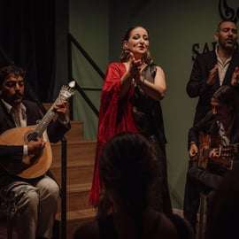 Lisbonne : Spectacle de fado avec du vin Quinta do Gradil dans le quartier Baixa-Chiado