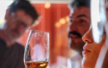 Lisbonne : visite du vignoble de Carcavelos et dégustation de vins
