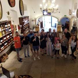 Visite œnologique d'Arrabida - Lisbonne : vignobles, dégustations et usine de carreaux