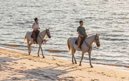 Randonnée à cheval sur la plage au coucher du soleil