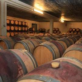 Visite œnologique d'Arrabida - Lisbonne : vignobles, dégustations et usine de carreaux