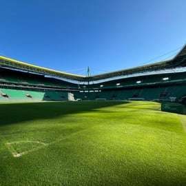 Sporting Clube de Portugal : Visite du stade