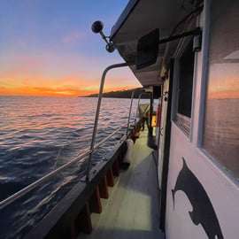 Cascais : croisière au coucher du soleil vers Lisbonne avec open bar