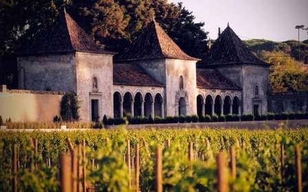 Depuis Lisbonne : Serra da Arrábida, Sesimbra et vins de Setúbal