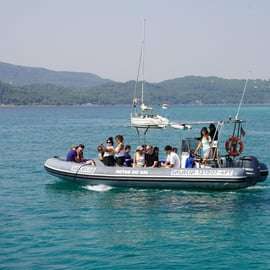 Setúbal : Tour en bateau pour l'observation des dauphins