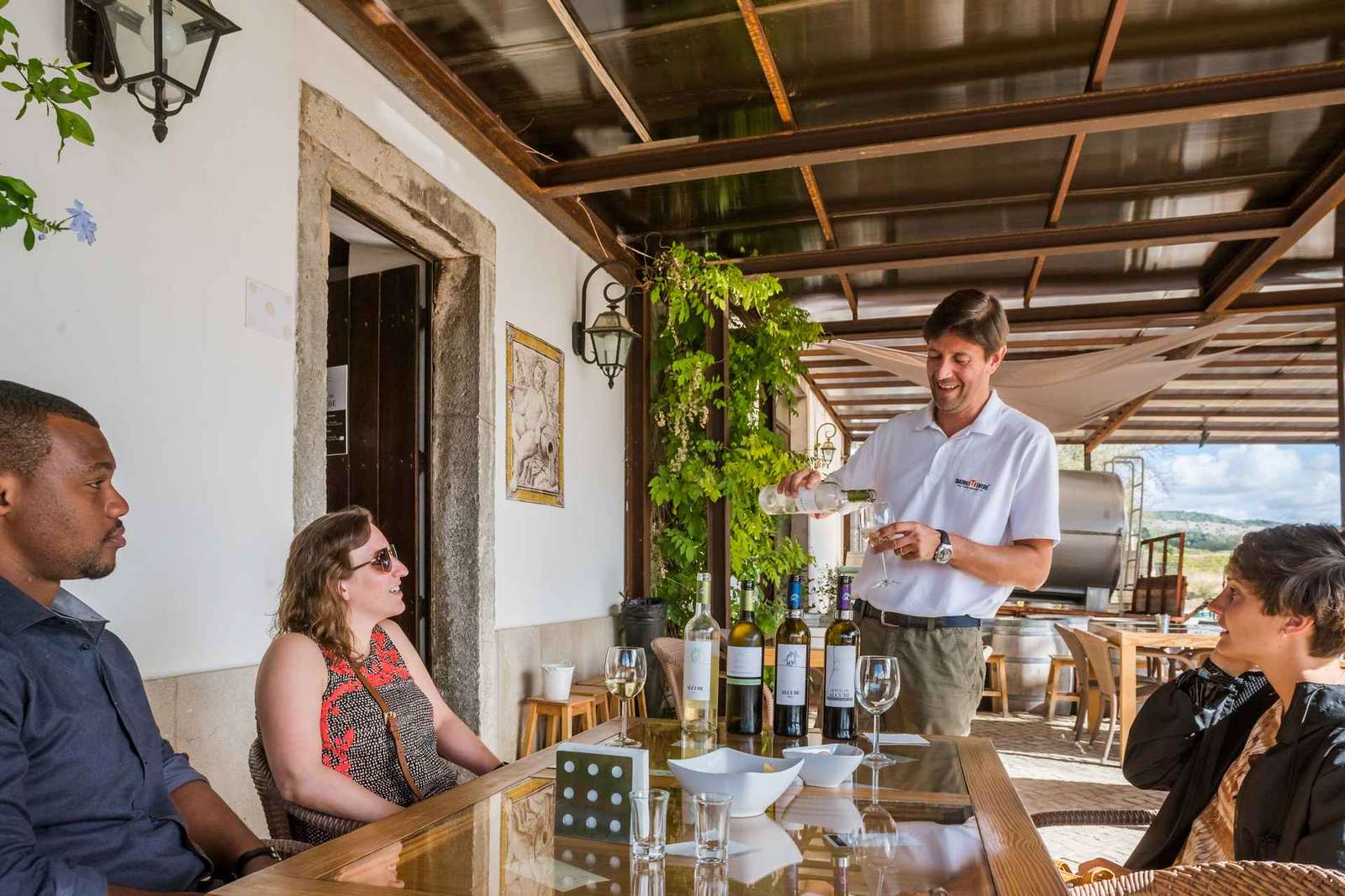 Visite privée de dégustation de vins de la région de Setúbal à Lisbonne