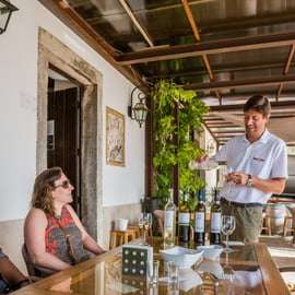Visite privée de dégustation de vins de la région de Setúbal à Lisbonne