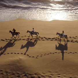 Depuis Lisbonne : Randonnée à cheval sur la plage de Comporta