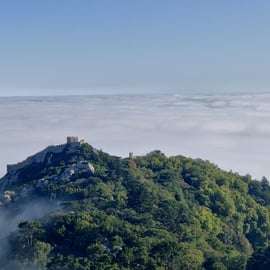 Lisbonne : visite d'une demi-journée à Sintra avec le palais de Pena et Regaleira