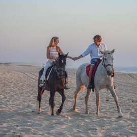 Depuis Lisbonne : Randonnée à cheval sur la plage de Comporta