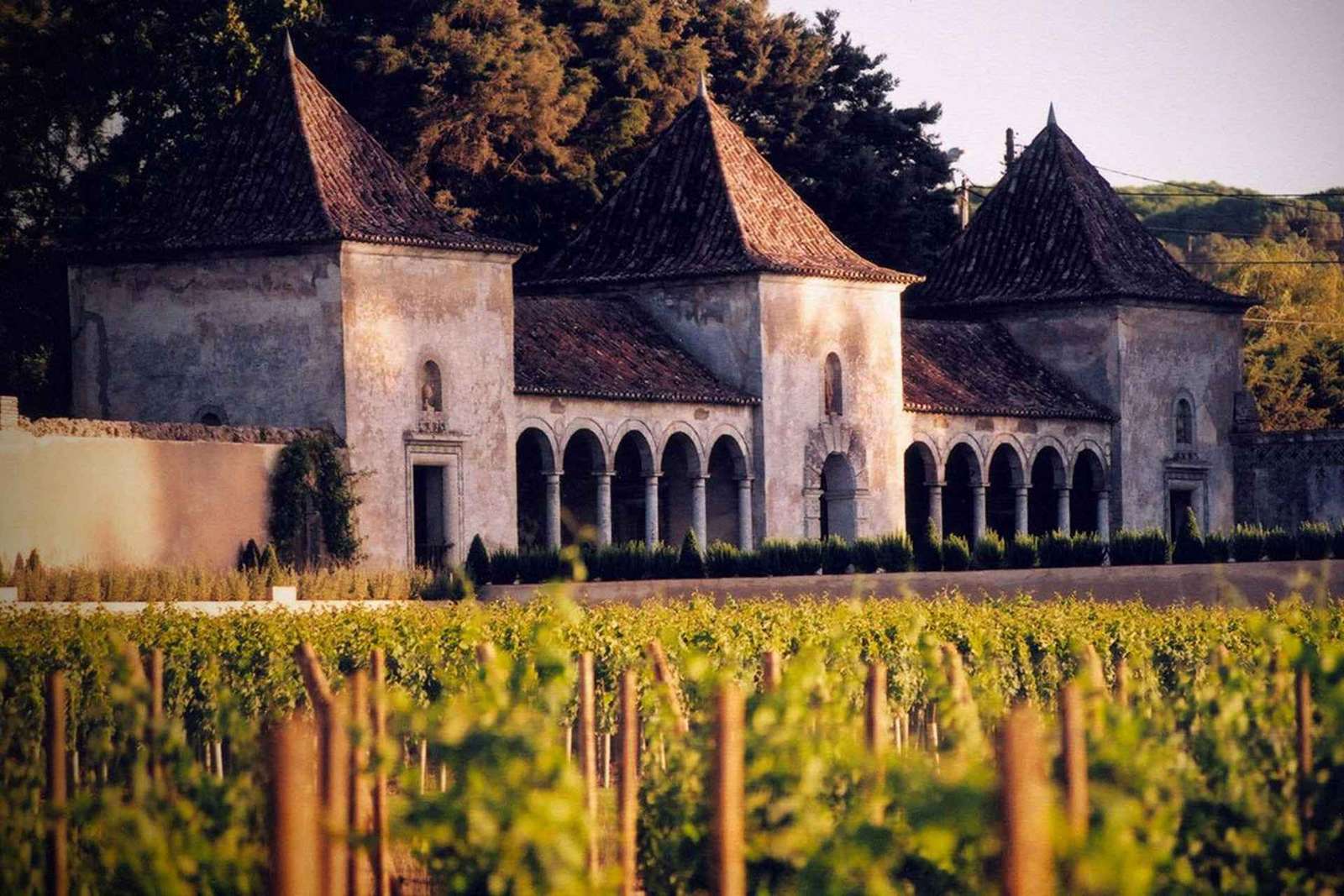 Depuis Lisbonne : Serra da Arrábida, Sesimbra et vins de Setúbal