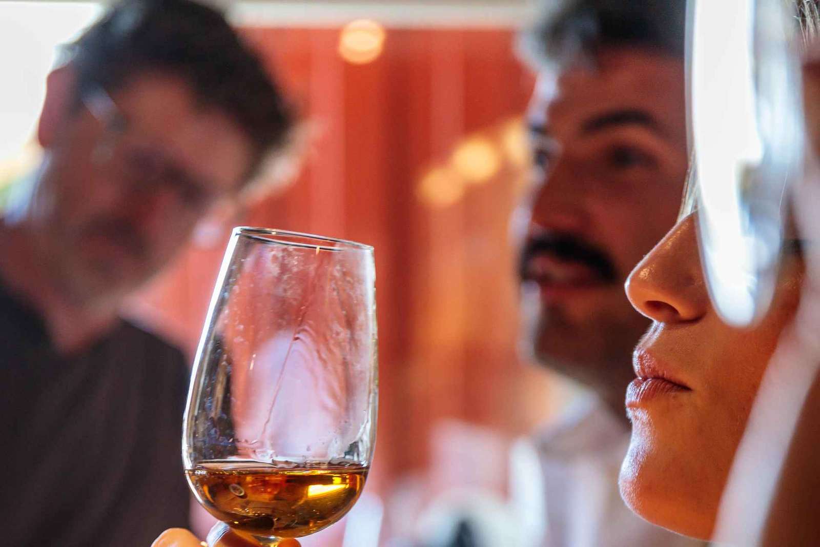 Lisbonne : visite du vignoble de Carcavelos et dégustation de vins