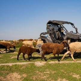 Aventure en buggy à Lisbonne : sentiers cachés, falaises et littoral