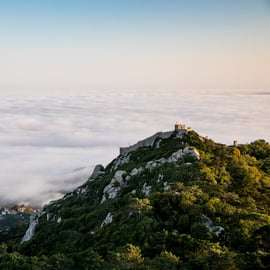 Sintra : Château des Maures Billet coupe-file