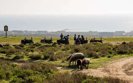 Depuis Lisbonne : Visite guidée en quad de la Costa da Caparica