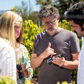 Lisbonne : visite du vignoble de Carcavelos et dégustation de vins