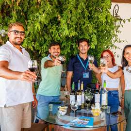 Lisbonne : Excursion d'une journée à Arrábida et Sesimbra avec vin