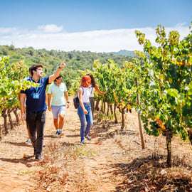 Lisbonne : Excursion d'une journée à Arrábida et Sesimbra avec vin
