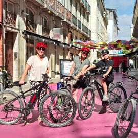 Lisbonne : visite guidée des sept collines en vélo électrique