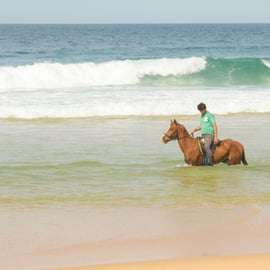 Depuis Lisbonne : Randonnée à cheval sur la plage de Comporta