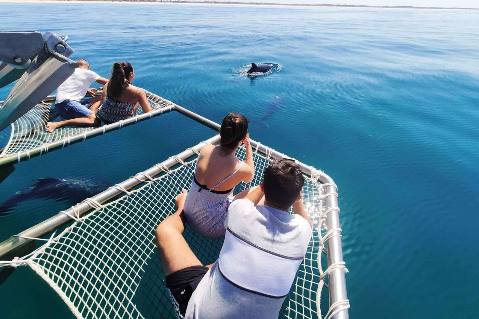 Setúbal : Observation des dauphins