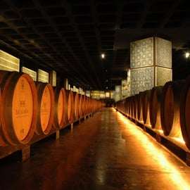 Depuis Lisbonne : Serra da Arrábida, Sesimbra et vins de Setúbal