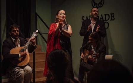 Lisbonne : Spectacle de fado avec du vin Quinta do Gradil dans le quartier Baixa-Chiado