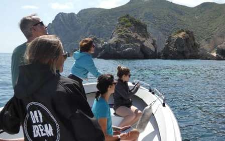 Sesimbra : Tour en bateau des plages et grottes d'Arrábida avec plongée en apnée