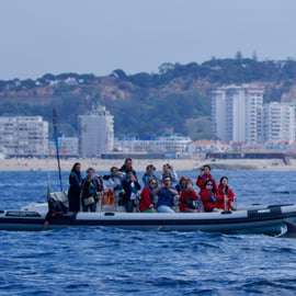 Lisbonne : Tour en bateau pour l'observation des dauphins