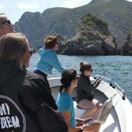 Sesimbra : Tour en bateau des plages et grottes d'Arrábida avec plongée en apnée