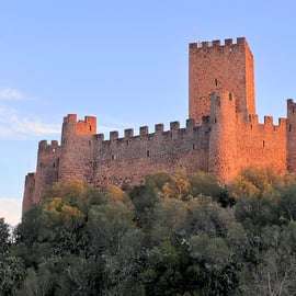 Depuis Lisbonne : Route des Templiers - Almourol, Tomar et le couvent du Christ