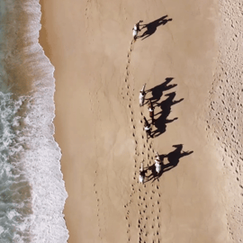 Depuis Lisbonne : Randonnée à cheval sur la plage de Comporta