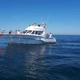 Excursion de pêche en haute mer à Cascais