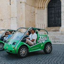 Lisbonne : visite guidée par GPS des épinards en voiture électrique