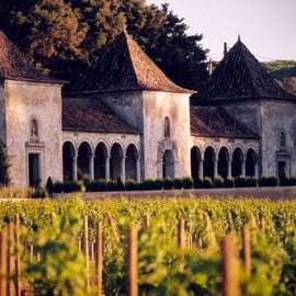 Depuis Lisbonne : Serra da Arrábida, Sesimbra et vins de Setúbal